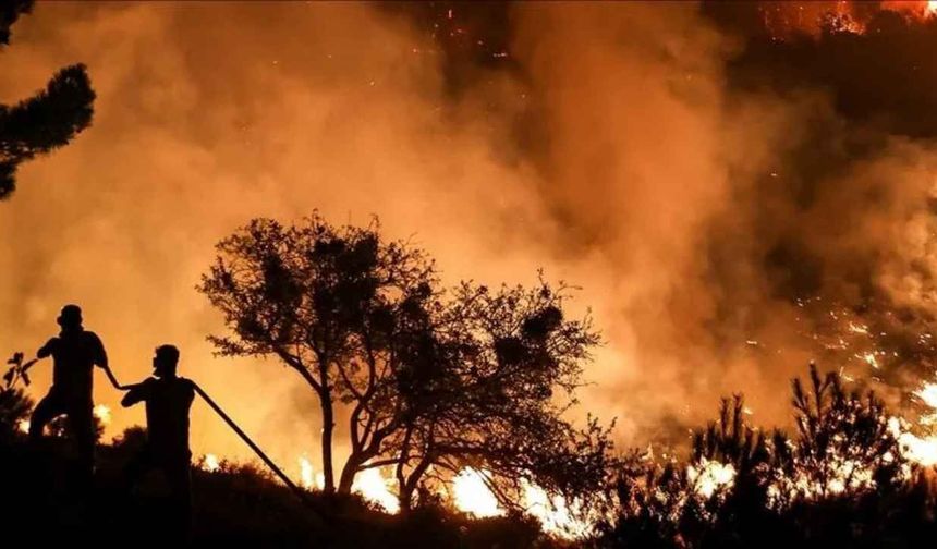 Adana’da orman yangını riski yükseldi: Vatandaşlara 4 kritik uyarı