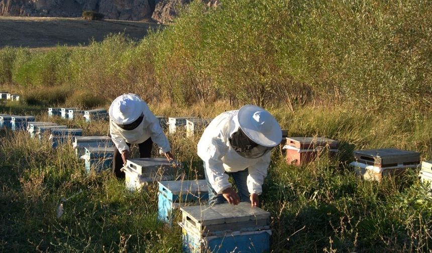 Kozan'da arıcılık destekleme başvuruları uzatıldı