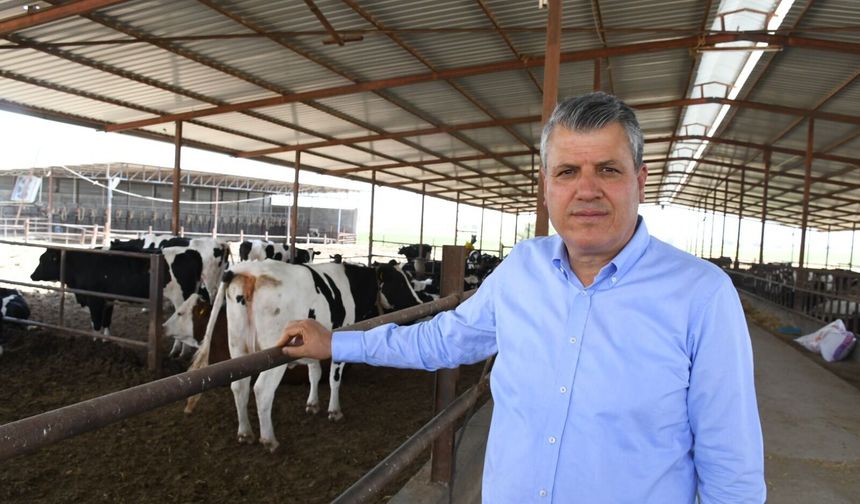 Ayhan Barut'tan Tarım Bakanlığı'na Şap uyarısı: "Bulaşma zincirini kırın"