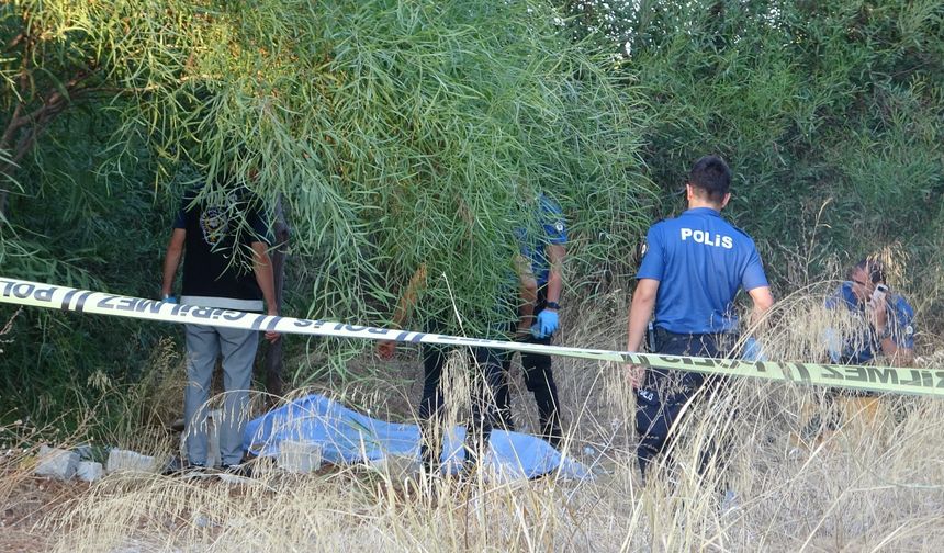 Doğum gününde ağaçlık alanda ölü bulundu