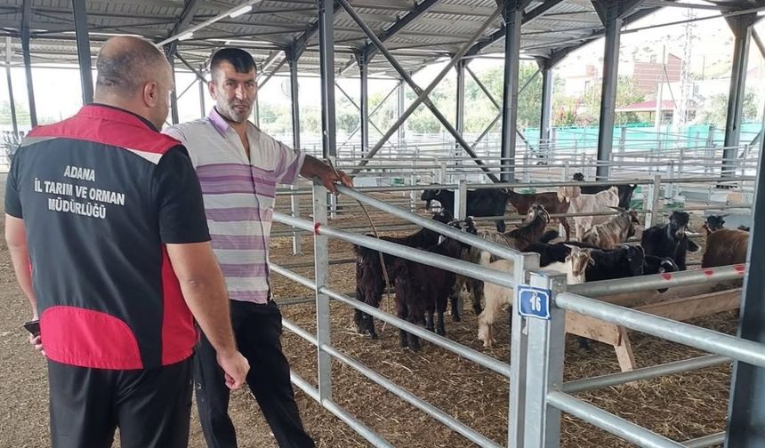 Kozan Hayvan Pazarı üreticileri bekliyor