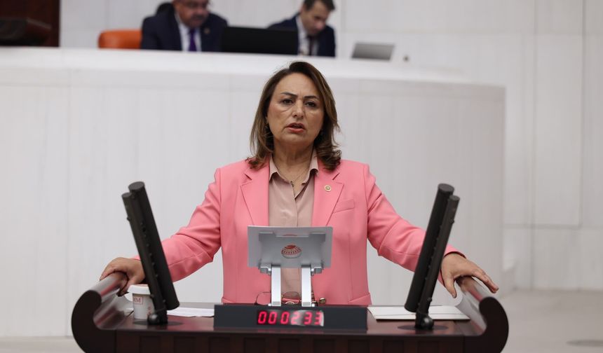 Müzeyyen Şevkin’den “kalıcı toplumsal barış” için komisyon çağrısı