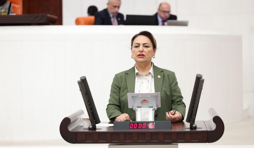 Şevkin’den engelli bakım desteği için TBMM’ye iki önerge