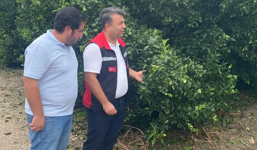 Tarım ekipleri dolu hasarı için sahada