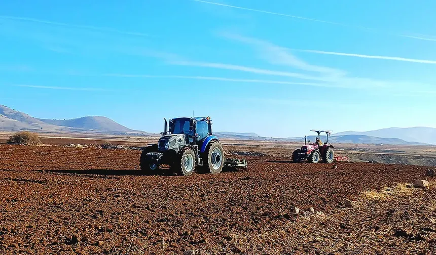 Türkiye'de tarım rekoru kırdı! Kışlık hububat ve baklagillerde hasat süreci başarıyla tamamlandı!