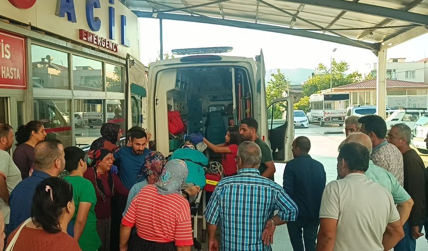 Kozan’da kestiği ağaç üzerine devrilen kişi ağır yaralandı