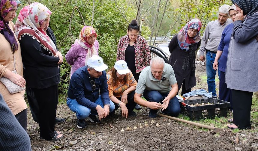 Adana'da üretici kadınlar için Beyaz Zambak hamlesi: İkinci etap başladı