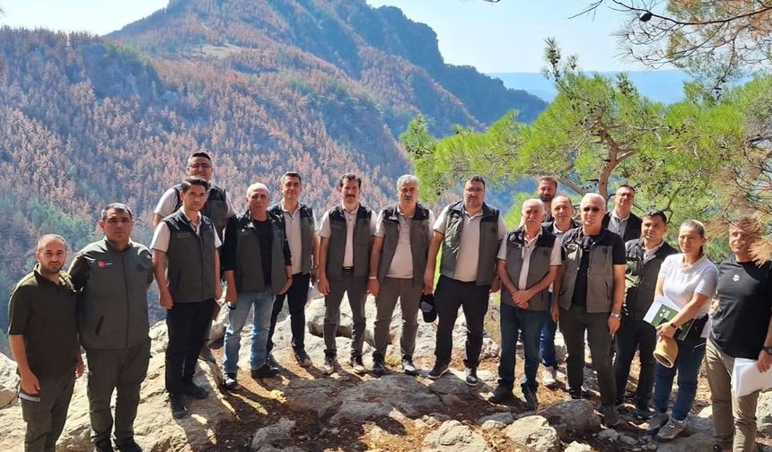 Adana'da yanan ormanlar için yeni adım! İki bölgede çalışmalar planlandı