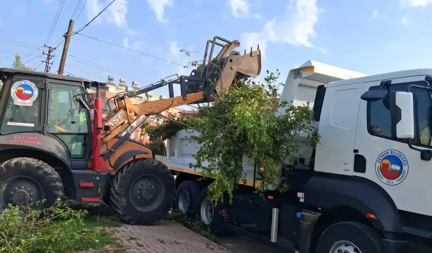 Ceyhan Belediyesi’nden temizlik seferberliği: "Temiz bir Ceyhan için 7/24 sahadayız!"