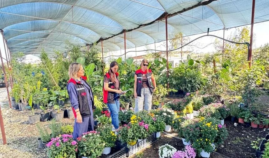 Çukurova’da süs bitkisi üreticilerine denetim