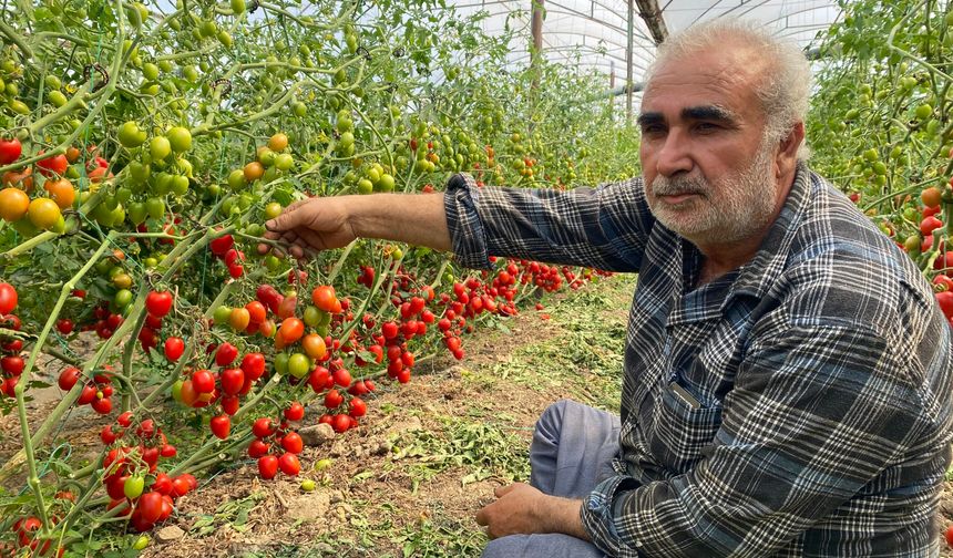 "Domates bizden 15 TL'ye alınıyor marketlerde 70 TL'ye satılıyor. Aradaki farkı kim yiyor"