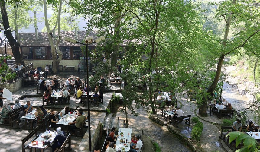 Adana'da sıcaktan kaçan vatandaşlar tabiat parkında serinledi