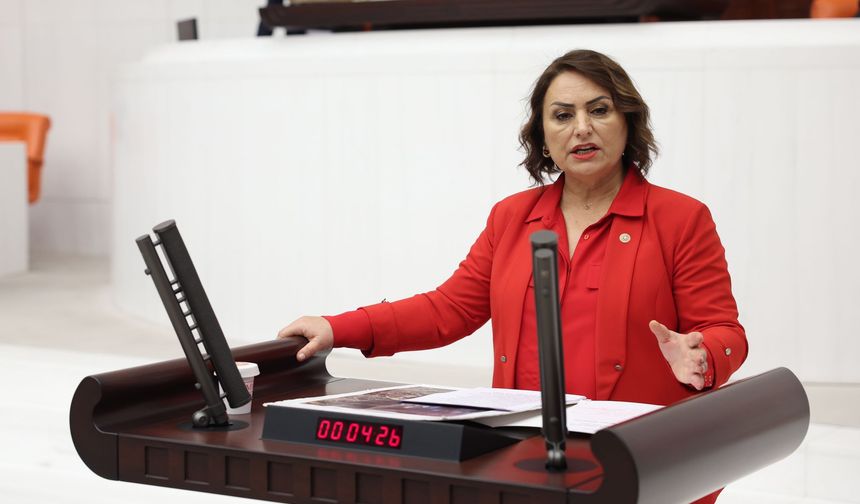 Adana'nın 'Ölüm yolu' Meclis gündeminde