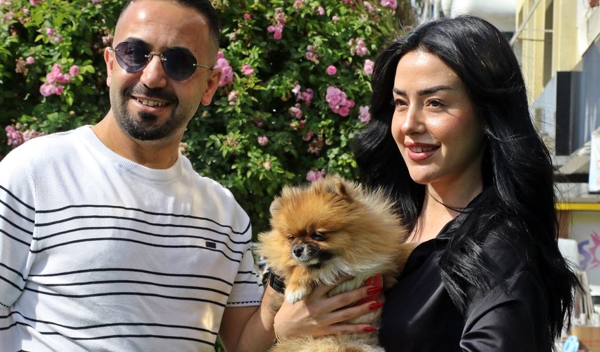 Güzellik yarışmasında birinci seçilip kaybolan köpek bulundu, sahipleri sevince boğuldu