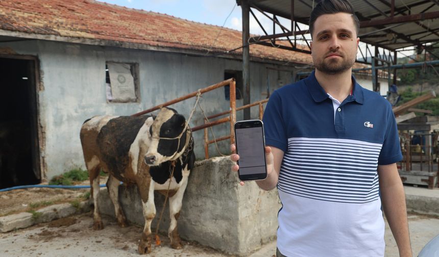 Kurbanlık danaları almak isterken 200 bin TL dolandırıldı