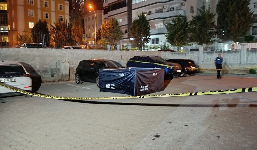 Önce sevgilisini öldürdü, ardından intihar etti